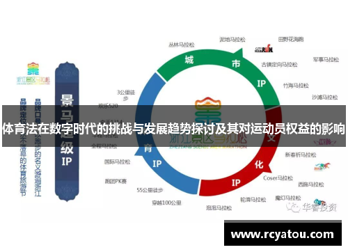 体育法在数字时代的挑战与发展趋势探讨及其对运动员权益的影响